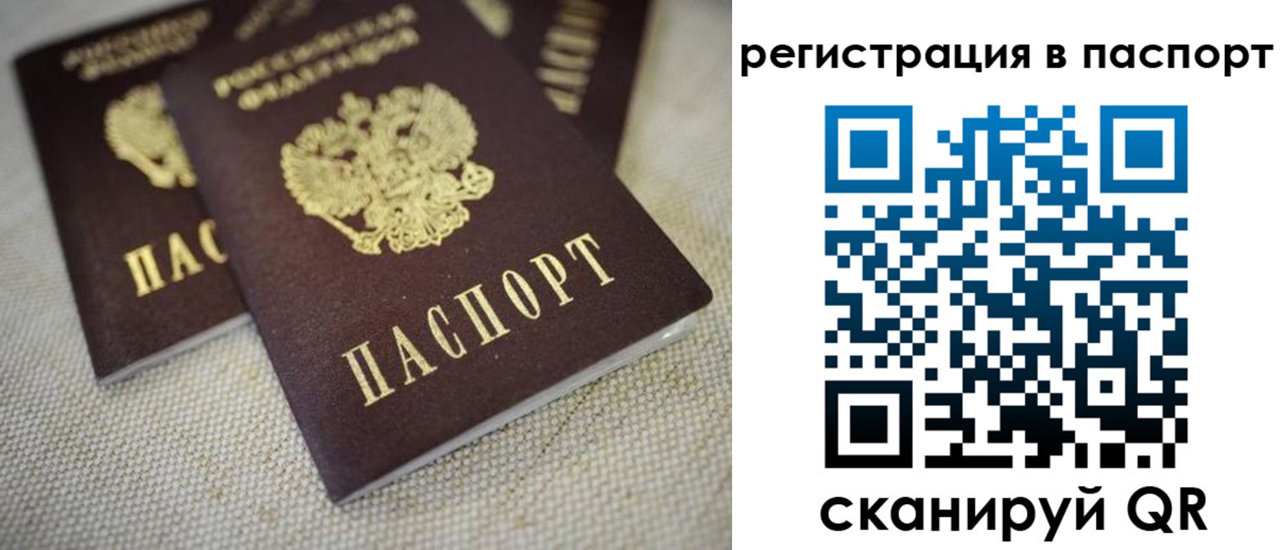 прописка гарантия в Сельцо